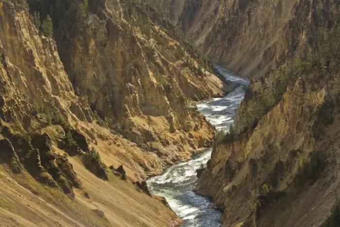Framed Print : Yellowstone River; Grand Canyon of the Yellowstone; Yellowstone National Park; Wyoming Framed Print : Yellowstone River; Grand Canyon of the Yellowstone; Yellowstone National Park; Wyoming
