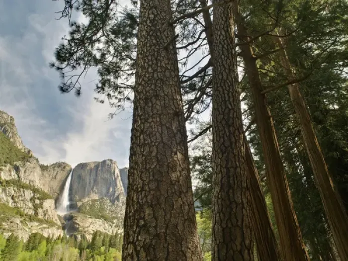 Framed Print : Yosemite Falls, Yosemite National Park, California