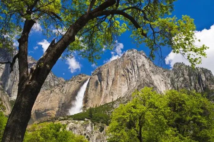 Framed Print : Yosemite Falls, Yosemite National Park, California Framed Print : Yosemite Falls, Yosemite National Park, California