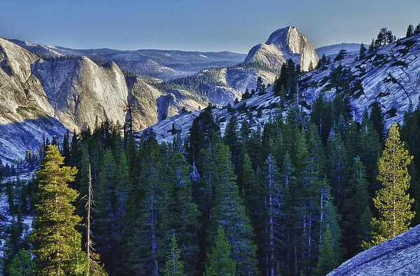 Yosemite National Park, CA, Half Dome in evening glow from Olmsted Point