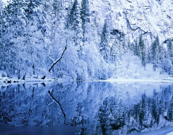 Framed Print : Yosemite National Park, California. USA. Fresh snow on trees & cliffs along Merced River Framed Print : Yosemite National Park, California. USA. Fresh snow on trees & cliffs along Merced River