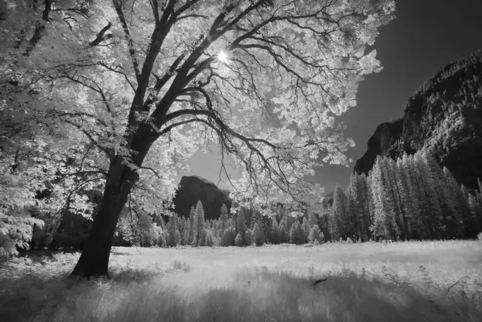 Framed Print : Yosemite Valley in infrared black and white, Yosemite National Park, California Framed Print : Yosemite Valley in infrared black and white, Yosemite National Park, California
