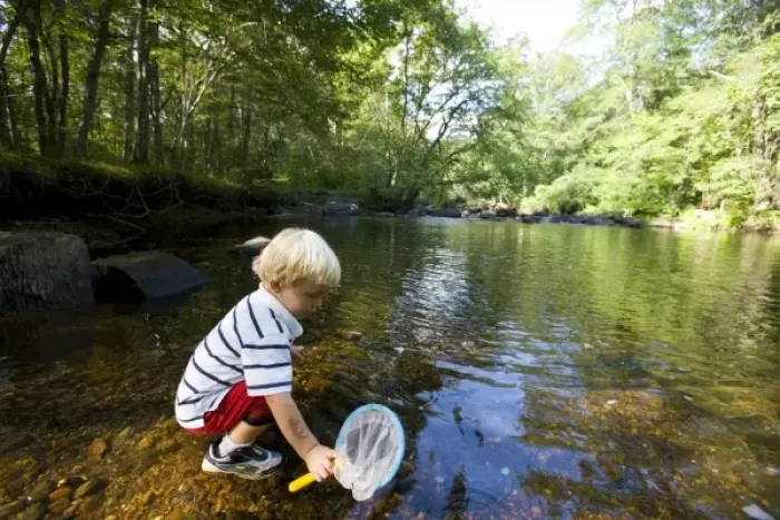 Framed Print : A young boy (age 3) plays in the Eightmile River in Lyme, Connecticut. The Nature Framed Print : A young boy (age 3) plays in the Eightmile River in Lyme, Connecticut. The Nature