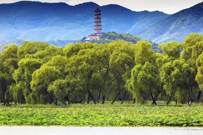 Framed Print : Yue Feng Pagonda Pink Lotus Pads Garden Willow Trees Summer Palace Beijing China Framed Print : Yue Feng Pagonda Pink Lotus Pads Garden Willow Trees Summer Palace Beijing China