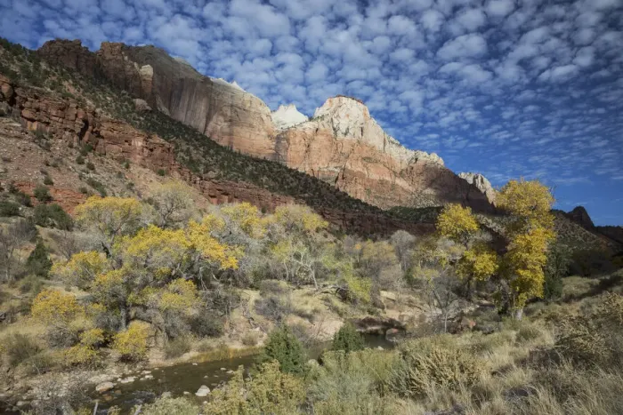 Framed Print : Zion National Park Framed Print : Zion National Park