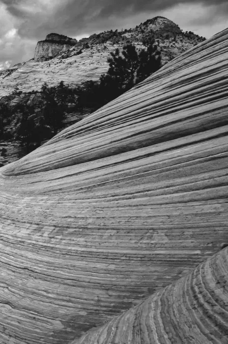Framed Print : Zion National Park, Utah