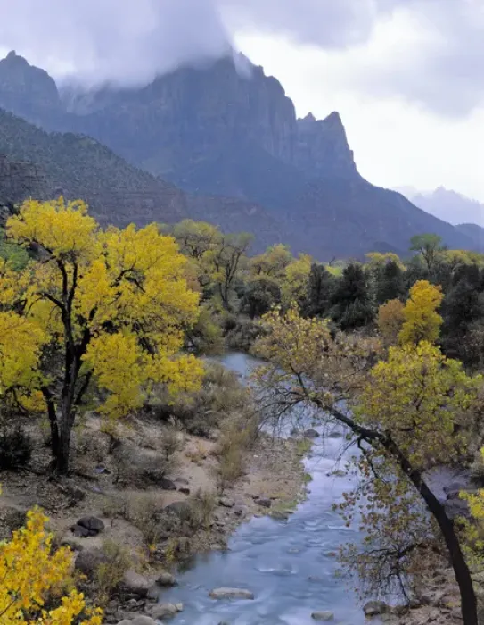 Framed Print : Zion National Park, Utah. USA. Autumn rain falls on The Watchman & the Virgin River Framed Print : Zion National Park, Utah. USA. Autumn rain falls on The Watchman & the Virgin River