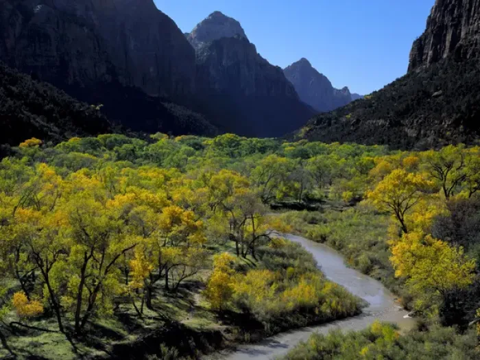 Framed Print : Zion National Park, Utah. USA. Cottonwoods and Virgin River in autumn. Zion Canyon