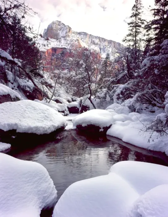 Framed Print : Zion National Park, Utah. USA. Deep snow at Middle Emerald Pools. Zion Canyon Framed Print : Zion National Park, Utah. USA. Deep snow at Middle Emerald Pools. Zion Canyon