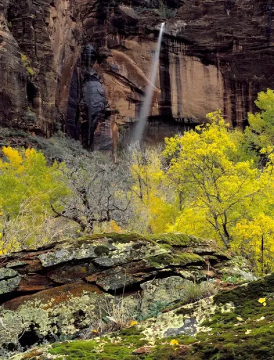 Framed Print : Zion National Park, Utah. USA. Ephemeral waterfall pours over cliff at Weeping Rock Framed Print : Zion National Park, Utah. USA. Ephemeral waterfall pours over cliff at Weeping Rock