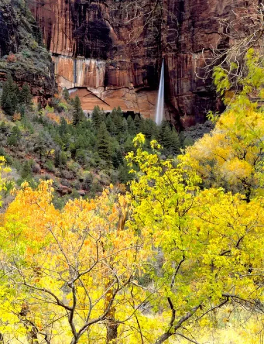 Framed Print : Zion National Park, Utah. USA. Ephemeral waterfall pours out of slot in cliff during Framed Print : Zion National Park, Utah. USA. Ephemeral waterfall pours out of slot in cliff during