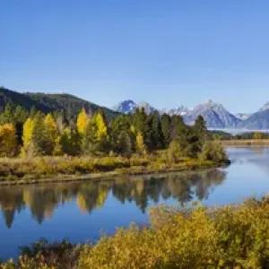 67545-08810 Oxbow Bend in fall, Grand Teton National Park, WY