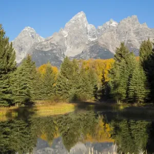 67545-09506 Sunrise at Schwabacher Landing in fall, Grand Teton National Park, WY