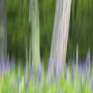 Prints of USA Prints: Wisconson