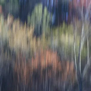 Spring Tree Landscape Print Spring Tree Landscape Print