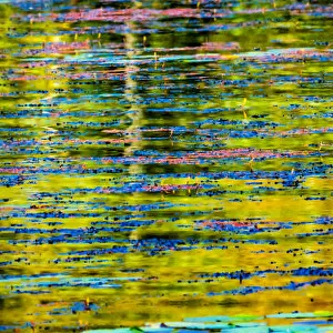 Abstract reflection of Lake Washington. Kirkland, Washington State