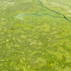 Aerial view of wetlands to the south west of Lake Victoria. Uganda
