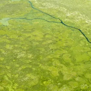 Aerial view of wetlands to the south west of Lake Victoria. Uganda