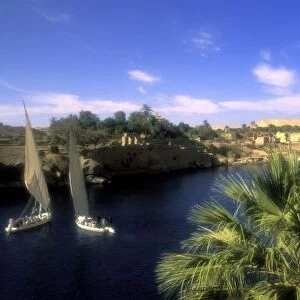 AF, Egypt, Upper Egypt, Aswan. River Nile, Feluccas Sailing