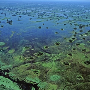 Africa, Botswana, Okavango Delta. Aerial view of the Okavango Delta