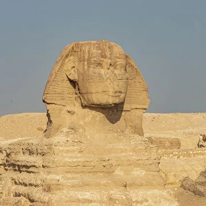 Africa, Egypt, Cairo. Giza plateau. Great Sphinx of Giza