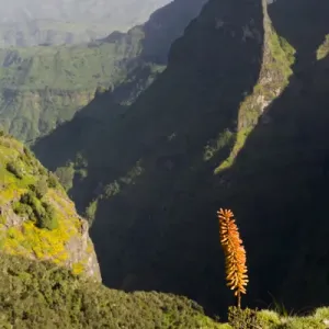 Africa, Ethiopia, Ethiopian Highlands, Western Amhara, Simien Mountains National Park Africa, Ethiopia, Ethiopian Highlands, Western Amhara, Simien Mountains National Park