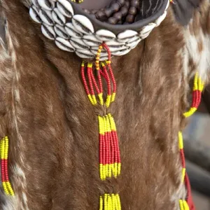Africa, Ethiopia, Omo River Valley, South Omo, Hamer tribe Africa, Ethiopia, Omo River Valley, South Omo, Hamer tribe