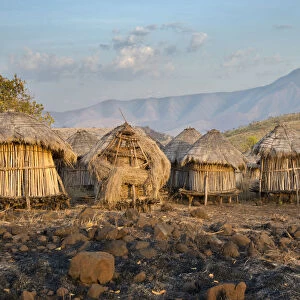 Africa, Ethiopia, Omo River Valley, Mago National Park, Mursi Tribe, Belle village