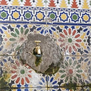 Africa, Morocco, Essaouira. Algae around wall faucet