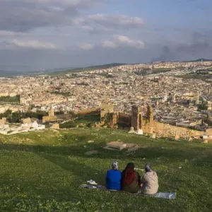 Africa, Morocco, Fes. Overview of the city from the Tombs de Merenidi