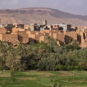 Africa, Morocco. The oasis behind the village of Tinerhir is a rich farming area