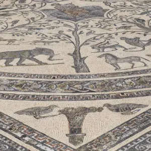 Africa Morocco Print - Volubilis Roman Ruins Mosaic Tile Floor Africa Morocco Print - Volubilis Roman Ruins Mosaic Tile Floor
