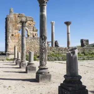 Africa, Morocco. Stone columns and remnants of an arch at the roman ruins of Volubilis