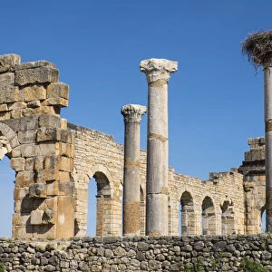 Africa, Morocco, Volubilis. AN archeological site of Roman ruins