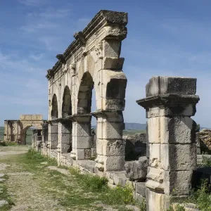 Africa, Morocco, Volubilis. Archeological site of ancient Roman ruins