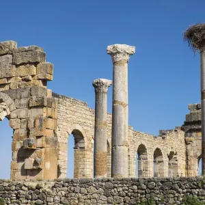 Africa, Morocco, Volubilis. AN archeological site of Roman ruins