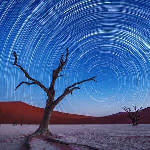 Africa, Namibia, Deadvlei. Dead tree sand dunes and star trails