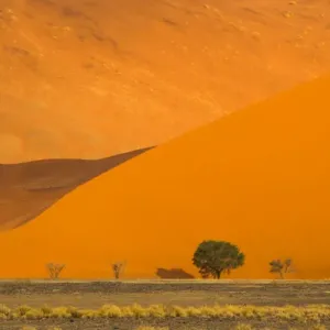 Africa, Namibia, Namib Desert, Namib-Naukluft National Park, Sossusvlei Africa, Namibia, Namib Desert, Namib-Naukluft National Park, Sossusvlei