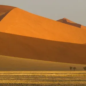 Africa, Namibia, Namib Desert, Namib-Naukluft National Park, Sossusvlei Africa, Namibia, Namib Desert, Namib-Naukluft National Park, Sossusvlei
