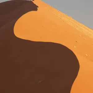 Africa, Namibia, Namib Desert, Namib-Naukluft National Park, Sossusvlei Africa, Namibia, Namib Desert, Namib-Naukluft National Park, Sossusvlei