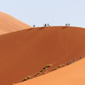 Africa; Namibia; Namib Desert, Namib-Naukluft National Park; Sossusvlei, Elim Dune Africa; Namibia; Namib Desert, Namib-Naukluft National Park; Sossusvlei, Elim Dune