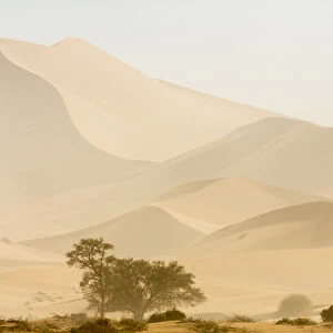 Africa, Namibia, Namib-Naukluft Park. Sandstorm over desert