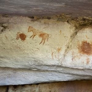 Africa, South Africa, Northern Cederberg Pakhuis Conservancy, Sevilla Rock Art Trail