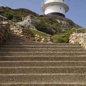 Africa, South Africa, Table Mountain National Park, Cape Point Africa, South Africa, Table Mountain National Park, Cape Point