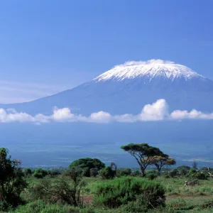 Africa, Tanzania. Mount Kilimanjaro, African landscape and zebra