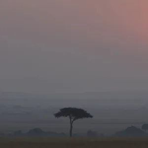 Africa, Tanzania, Ngorongoro Conservation Area