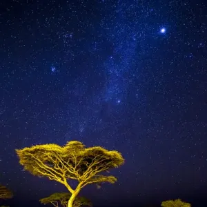 Ndutu Milky Way Print