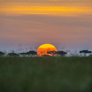 Africa, Tanzania, sunset