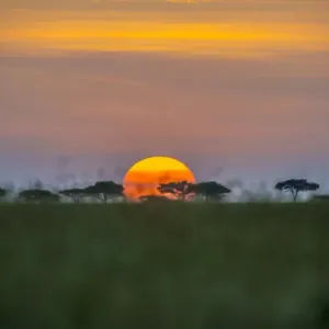 Africa, Tanzania, sunset Africa, Tanzania, sunset