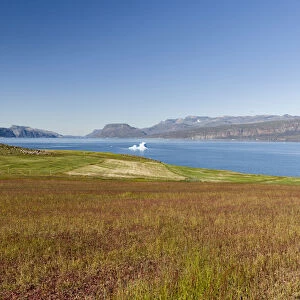 Agriculture and sheep farming near Itilleq in South Greenland at the shore of Eriksfjord